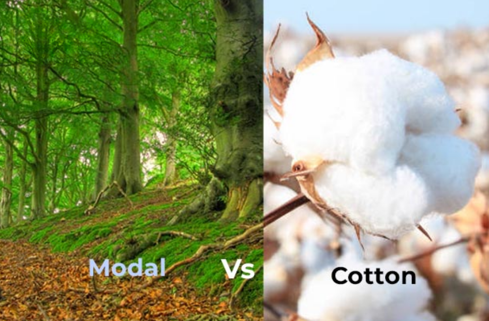 Modal Fabric vs Cotton